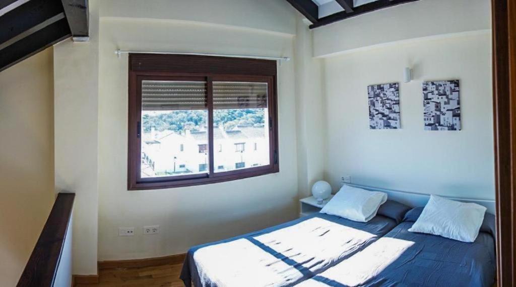 El Olmo Seville